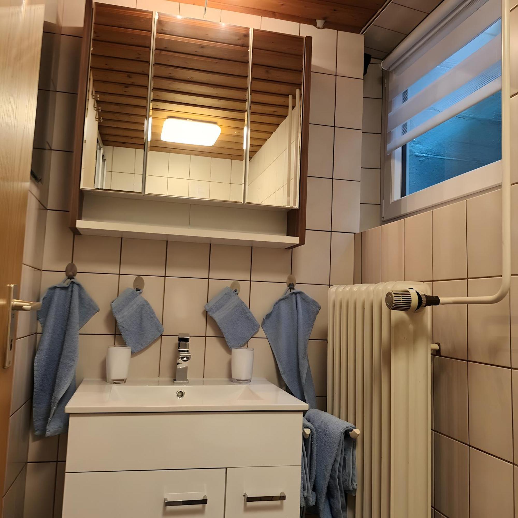 Ferienwohnung Brigachglueck Sankt Georgen im Schwarzwald Dış mekan fotoğraf